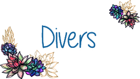 Divers